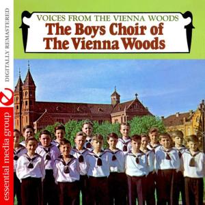 ดาวน์โหลดและฟังเพลง Vienna City Of My Dreams พร้อมเนื้อเพลงจาก The Boys Choir Of Vienna Woods