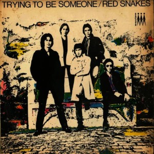 Red Snakes的專輯Trying To Be Someone