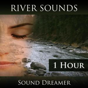 ดาวน์โหลดและฟังเพลง River Sounds - 1 Hour พร้อมเนื้อเพลงจาก Sound Dreamer