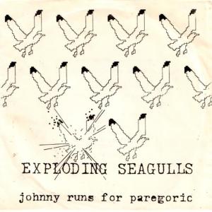 ดาวน์โหลดและฟังเพลง Johnny Runs For Paregoric พร้อมเนื้อเพลงจาก Exploding Seagulls