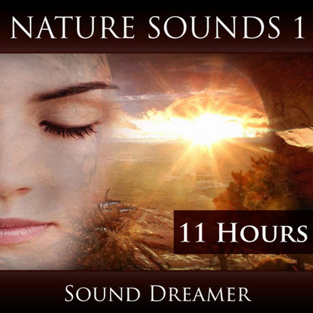 Ocean Waves and Campfire Sounds - 1 Hour
