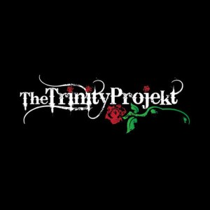 收聽The Trinity Projekt的Glitch歌詞歌曲