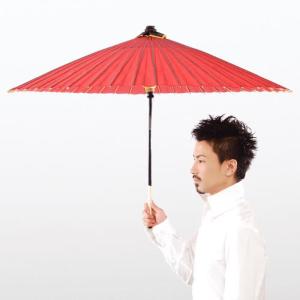 收聽Kousuke Kumashiro的Sutekina Kannojo歌詞歌曲