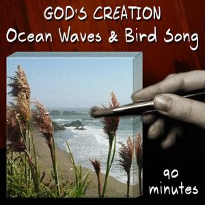 God's Creation的專輯Ocean Waves and Bird Song (90 Minutes)