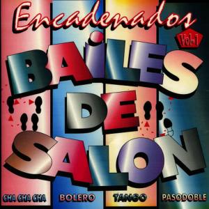收聽Charol Negro的Medley Boleros: La Mentira / Contigo Aprendi / Besame Mucho歌詞歌曲