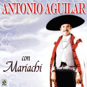 ดาวน์โหลดและฟังเพลง Bandido de Amores พร้อมเนื้อเพลงจาก Antonio Aguilar