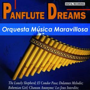 收聽Orquesta Música Maravillosa的Olaha-Oe, Until Wee Meet Again歌詞歌曲
