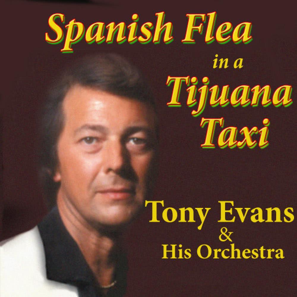 Spanish Flea in a Tijuana Taxi
