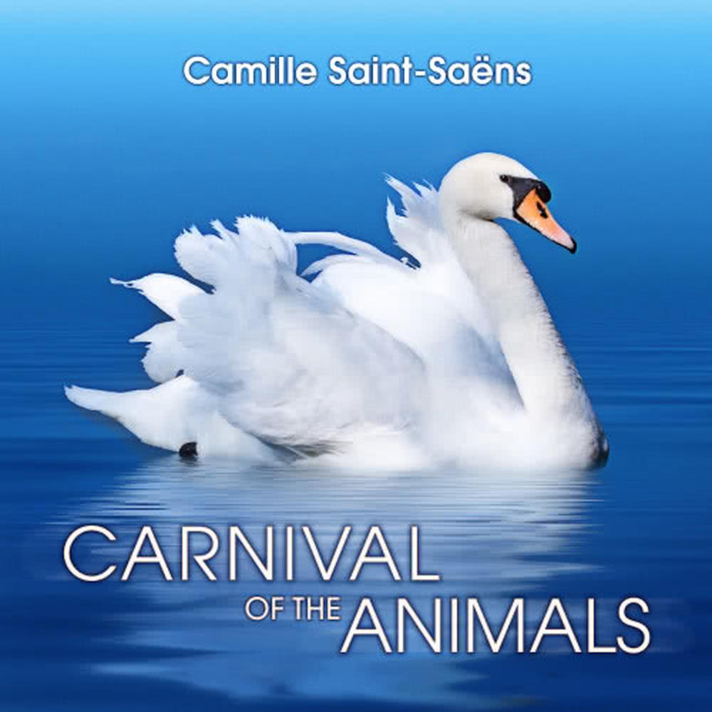 Carnival of the Animals: IV. Tortoises