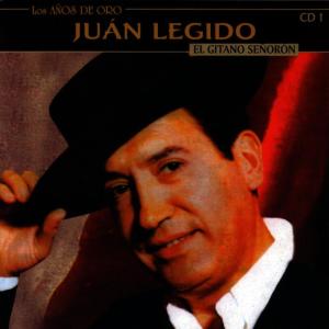 ดาวน์โหลดและฟังเพลง Margarita พร้อมเนื้อเพลงจาก Juan Legido