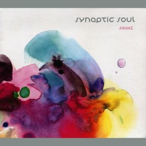 收聽Synaptic Soul的Ebb & Flow歌詞歌曲