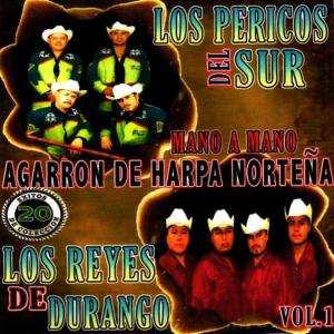 收聽Los Pericos Del Sur的De Tin Marin歌詞歌曲