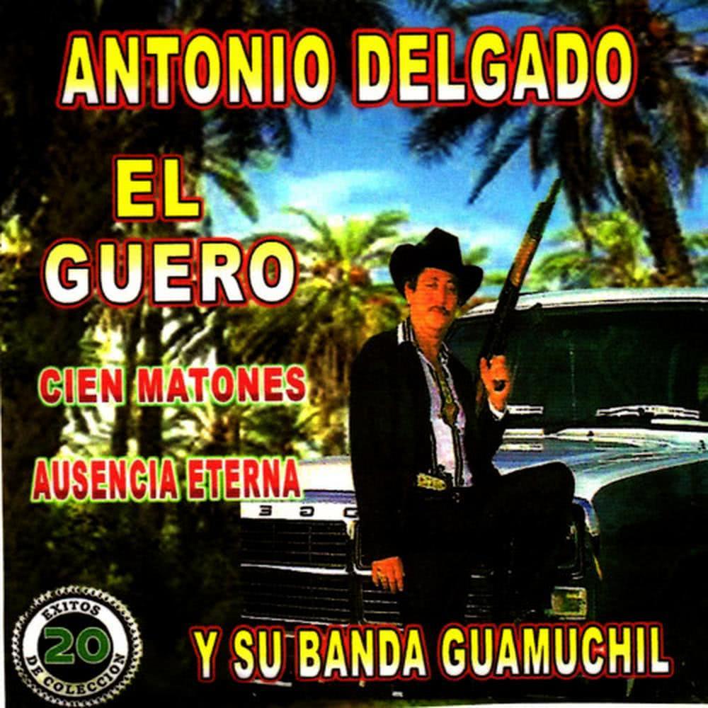 Camionetas Brindadas