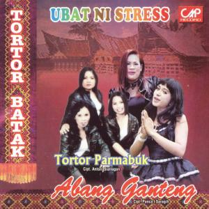 Dengarkan Anak Medan lagu dari Simbolon Sister dengan lirik
