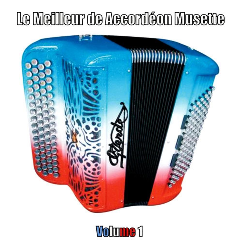 Marche des accordéonistes lyonnais