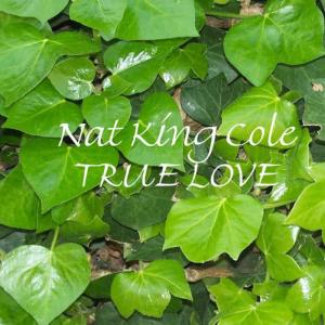 收聽Nat King Cole的Love me As Though There Was No Tomorrow歌詞歌曲