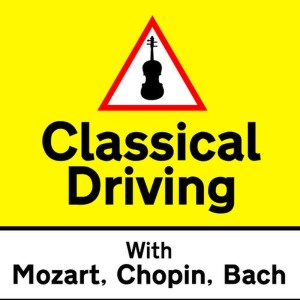 ดาวน์โหลดและฟังเพลง Étude No. 11 in A Minor Op. 25, "Winter Wind" พร้อมเนื้อเพลงจาก Van Cliburn