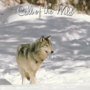 收聽Call of the Wild Players的Call of the Wild歌詞歌曲