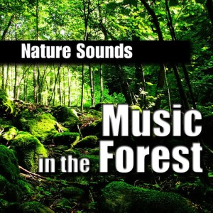 收聽Nature Sounds的Wherever It Takes Me - Relaxing Bird Calls歌詞歌曲