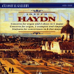 ดาวน์โหลดและฟังเพลง Organ Concerto No. 2 in C Major, Hob. XVIII:2: I. Moderato พร้อมเนื้อเพลงจาก Ferdinand Klinda