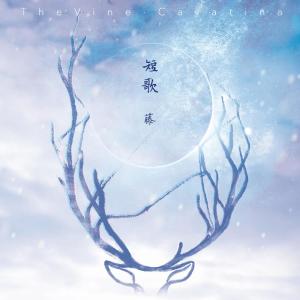 收聽藤樂隊的莎莉歌詞歌曲
