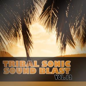 Listen to Police song with lyrics from Various Artists