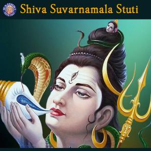 收聽Vighnesh Ghanapaathi的Om Namah Shivaya歌詞歌曲