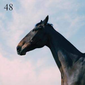 收聽Moss Kena的48歌詞歌曲