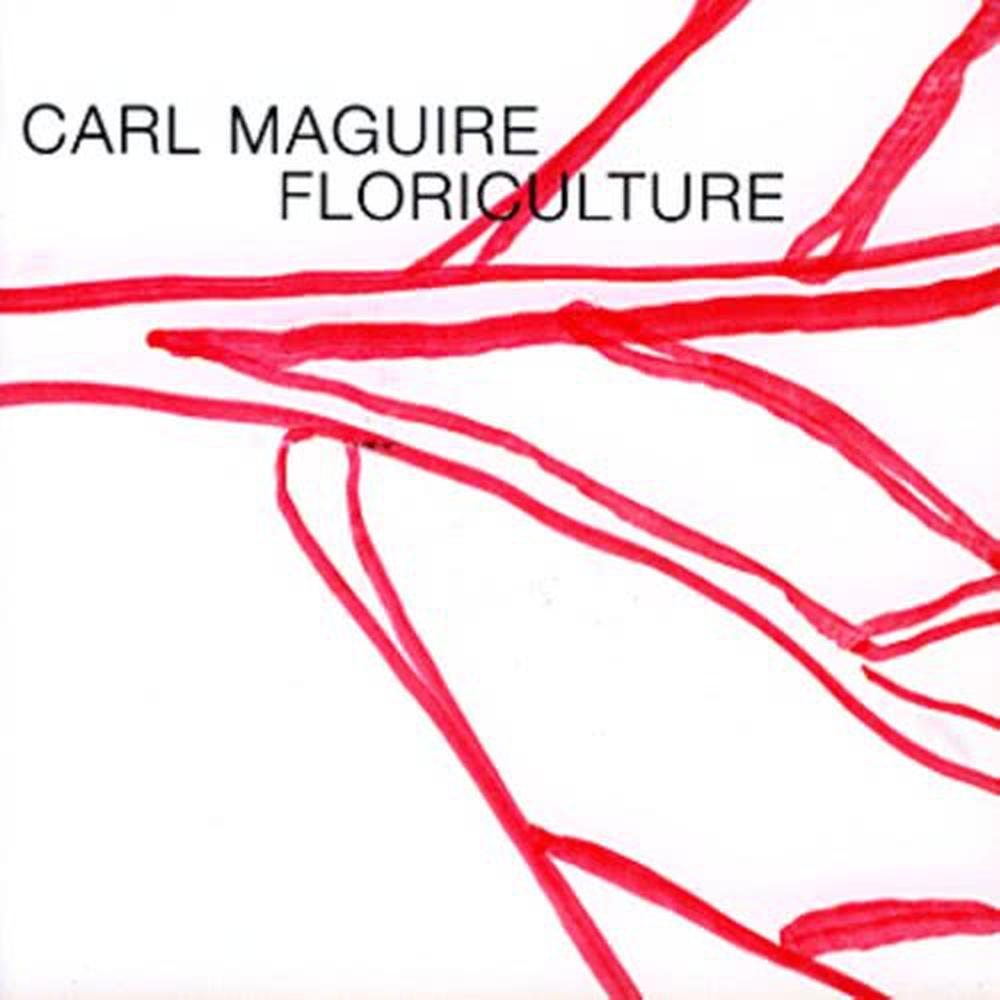 Ermes Marana - After Italo Calvino