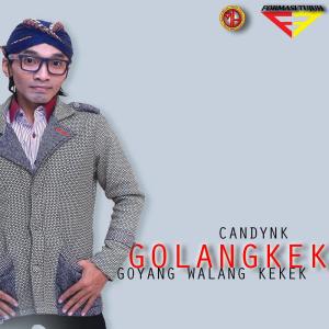 Dengarkan Goyang Walang Kekek lagu dari candynk dengan lirik