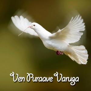 收听P.S. Paul Thangiah的Inba Nathiye Thentral歌词歌曲