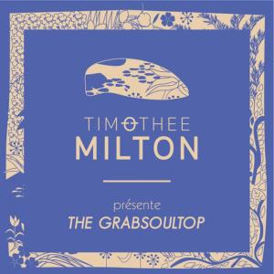 Listen to What You Want (Radio Edit) song with lyrics from Timothee Milton
