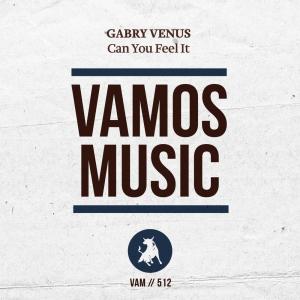 收听Gabry Venus的Can You Feel It歌词歌曲
