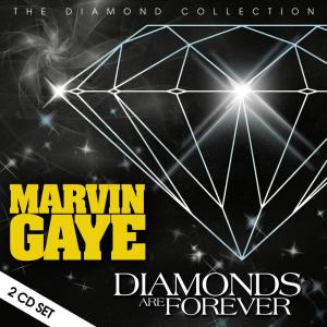 ดาวน์โหลดและฟังเพลง After the Dance (Live) พร้อมเนื้อเพลงจาก Marvin Gaye