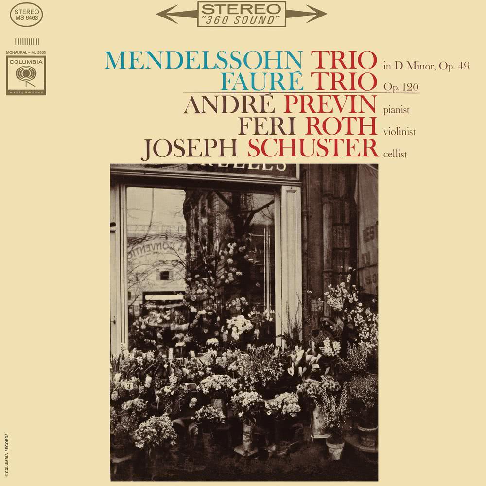 Piano Trio No. 1 in D Minor, Op. 120: III. Allegro vivo