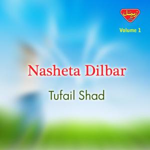 ดาวน์โหลดและฟังเพลง Guli Guli พร้อมเนื้อเพลงจาก Tufail Shad