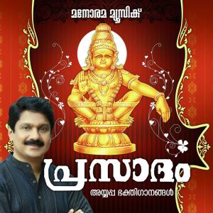 ดาวน์โหลดและฟังเพลง Sreedhajana Palani พร้อมเนื้อเพลงจาก Raveena