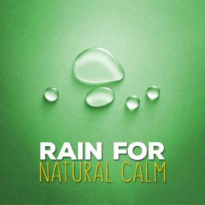 ดาวน์โหลดและฟังเพลง Summertime Rain พร้อมเนื้อเพลงจาก Rain Sounds & Nature Sounds