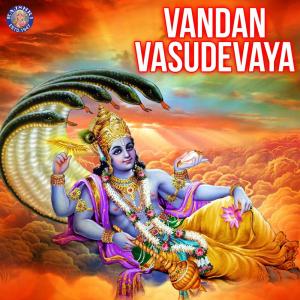 收听Ketan Patwardhan的Krishna Mantra Krishnaya Vasudevaya 108 Times歌词歌曲