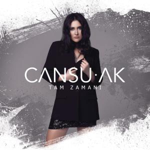 收聽Cansu Ak的Bu Neyin Kafası (Club Remix)歌詞歌曲
