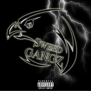 Listen to $WEED song with lyrics from Sweed Gangz