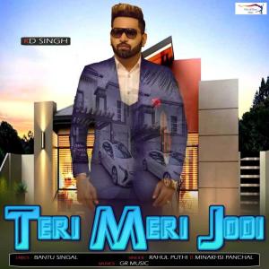 Listen to Teri Meri Jodi song with lyrics from Rahul Puthi