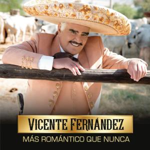 收聽Vicente Fernández的Agua Salada歌詞歌曲