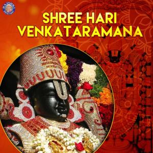 Listen to Vishnu Sahasranamam song with lyrics from Rajalakshmee Sanjay