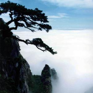 Listen to 恋歌 song with lyrics from 郑湘娟