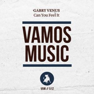 Can You Feel It dari Gabry Venus