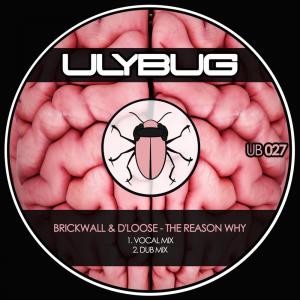 收听Brickwall的The Reason Why (Dub Mix)歌词歌曲