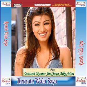 Various Artists的专辑Remote Wala Saya