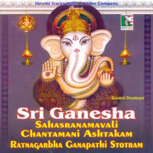 收听Ajey Warrior的Sri Ganesha Mantra Stotram歌词歌曲
