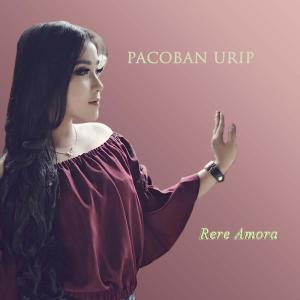 收听Rere Amora的Pacoban Urip歌词歌曲